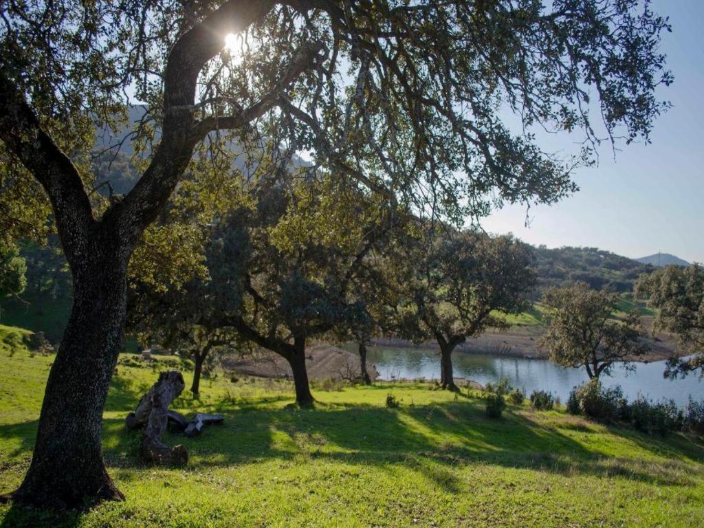 Finca La Vicaria Palomar Zufre Kültér fotó